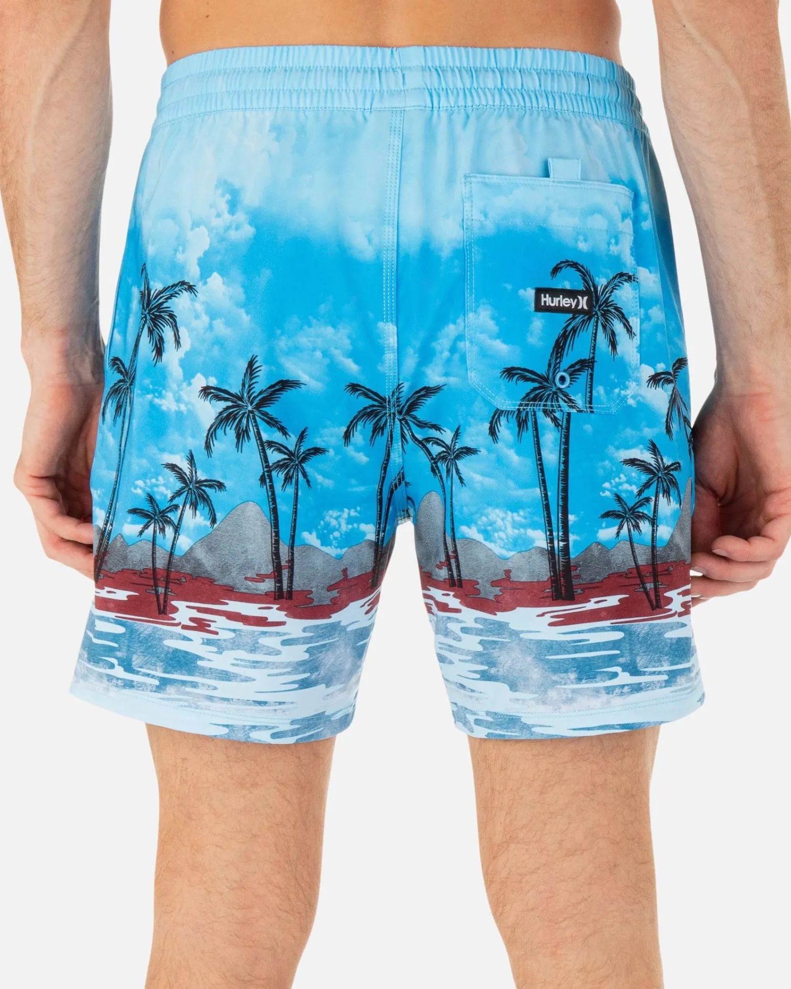 Hurley Boardshorts*Cannonball Volley 17"