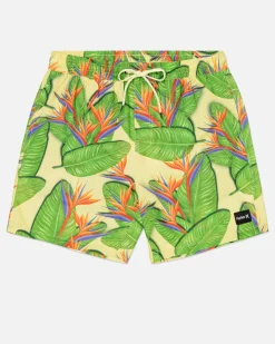 Hurley Boardshorts*Cannonball Volley 17"
