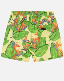 Hurley Boardshorts*Cannonball Volley 17"