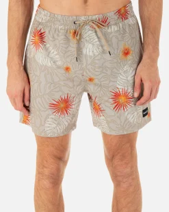 Hurley Boardshorts*Cannonball Volley 17