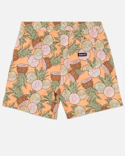 Hurley Boardshorts*Cannonball Volley 17"