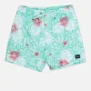 Hurley Boardshorts*Cannonball Volley 17"