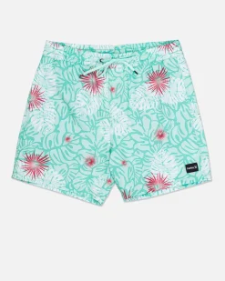 Hurley Boardshorts*Cannonball Volley 17"