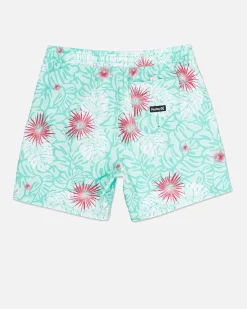 Hurley Boardshorts*Cannonball Volley 17