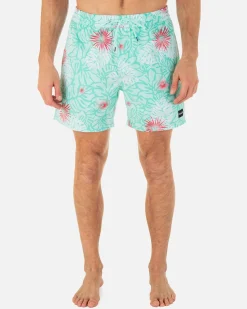 Hurley Boardshorts*Cannonball Volley 17