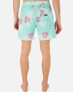 Hurley Boardshorts*Cannonball Volley 17
