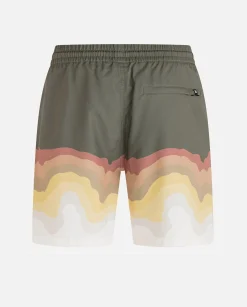 Hurley Walkshorts*Explore H2O-Dri Trek Ii 17.5" Short