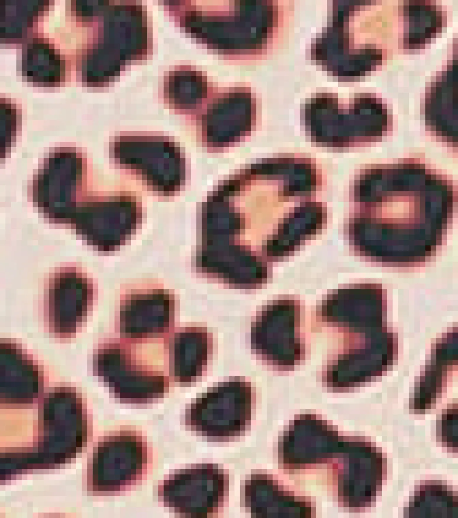 Women Hurley Bikini Bottoms|Bikinis*Max Leopard Moderate Tab Side High Waist